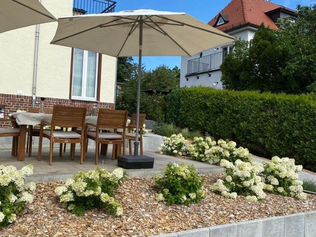 Haus mieten in Dresden, Sachsen