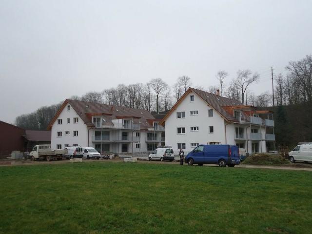Immobilie mieten in Mülligen, Aargau