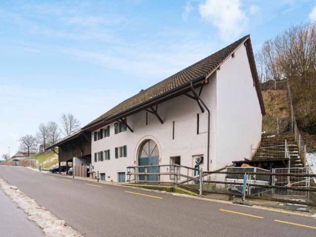 Einfamilienhaus kaufen in Remigen, Aargau