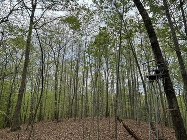 Land for sale in Virginia
