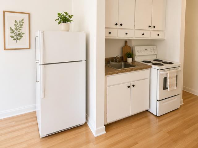 Apartment for rent in Le Plateau-Mont-Royal, Montréal