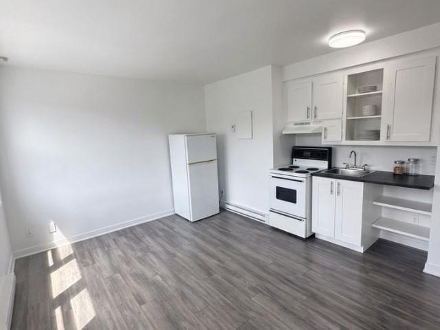 Apartment for rent in La Petite-Patrie, Montréal
