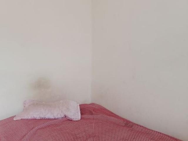 Property for rent in Hariana