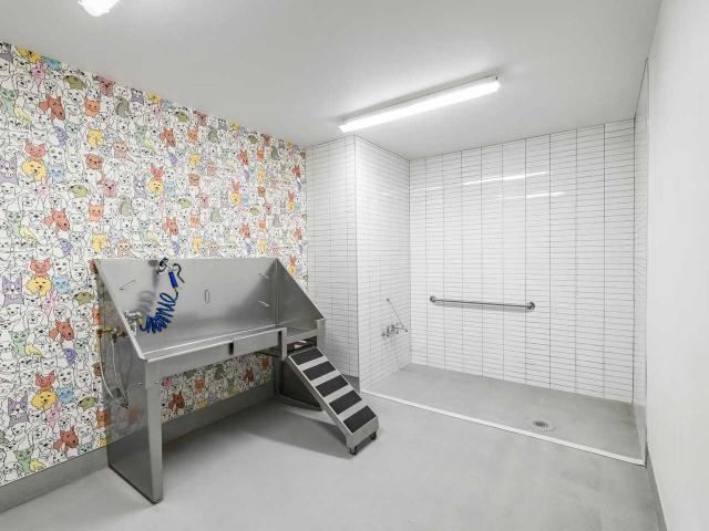 Apartment for rent in Seattle, Washington
