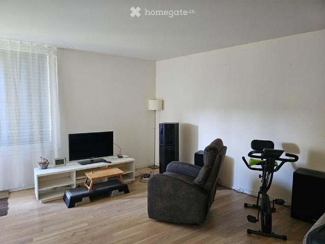 Apartment mieten in Umiken, Brugg