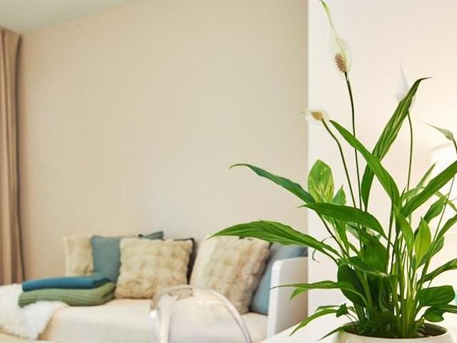 Apartment mieten in Altona, Hamburg