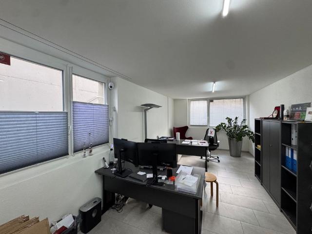 Apartment mieten in Menziken, Aargau