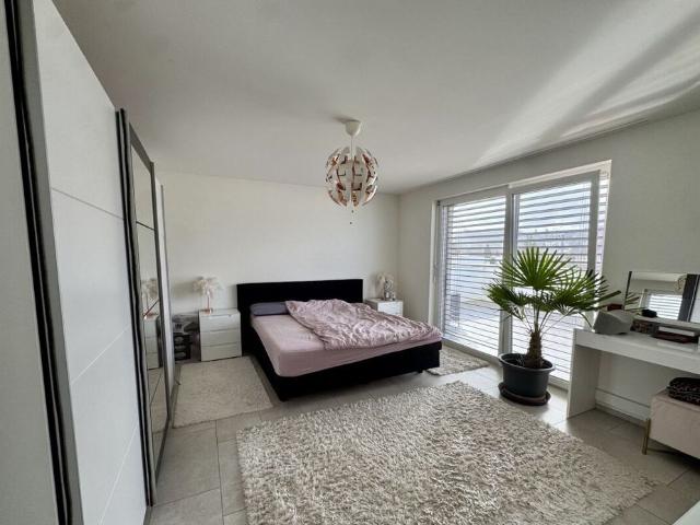 Apartment mieten in Menziken, Aargau