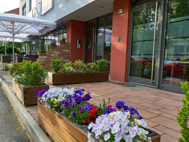 Apartment mieten in Striesen, Dresden