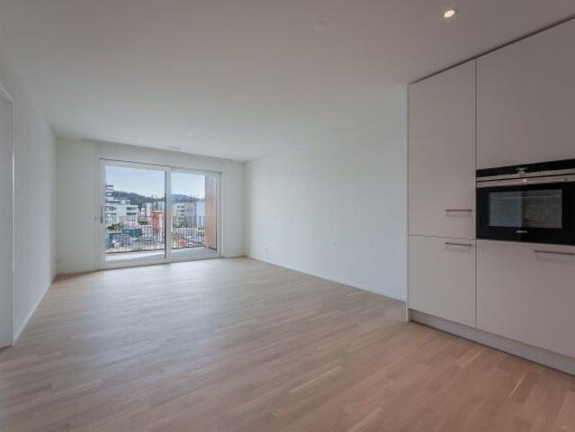Apartment mieten in Kaiseraugst, Aargau