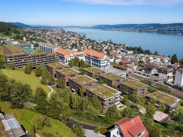 Apartment mieten in Horgen, Zürich