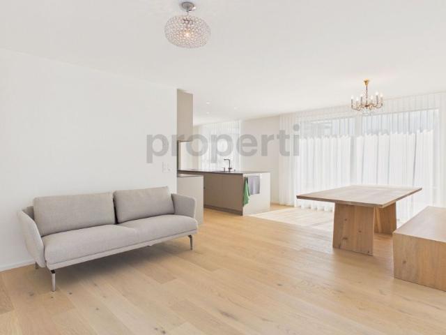Apartment mieten in Pfäffikon (SZ), Zürich