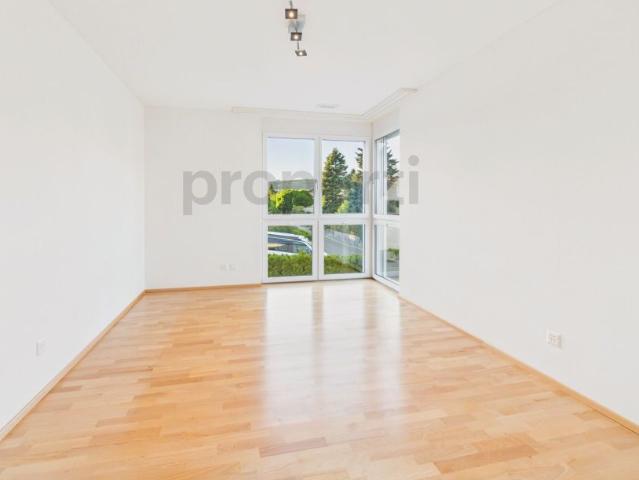 Apartment mieten in Dachsen, Zürich