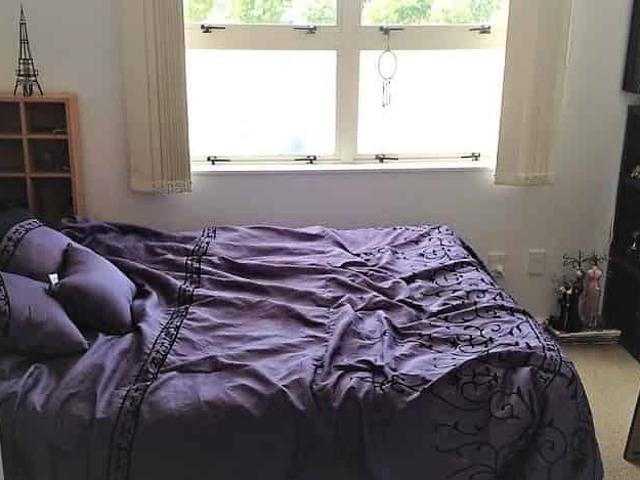 House for rent in Papakura