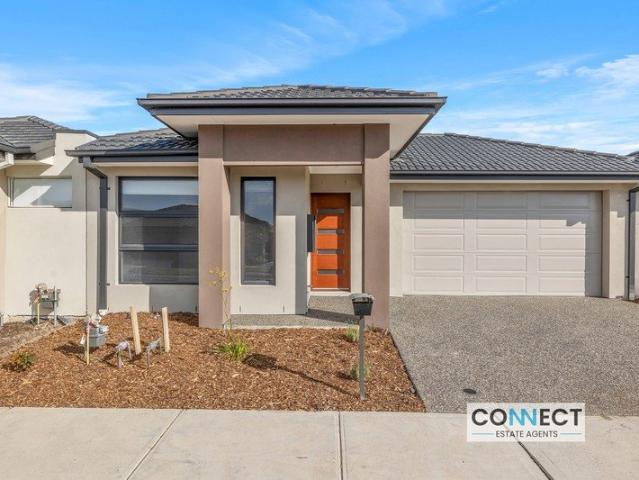 House for rent in Bloom, Melbourne