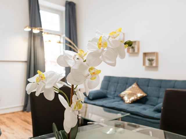 Apartment mieten in Rudolfsheim-Fünfhaus, Wien