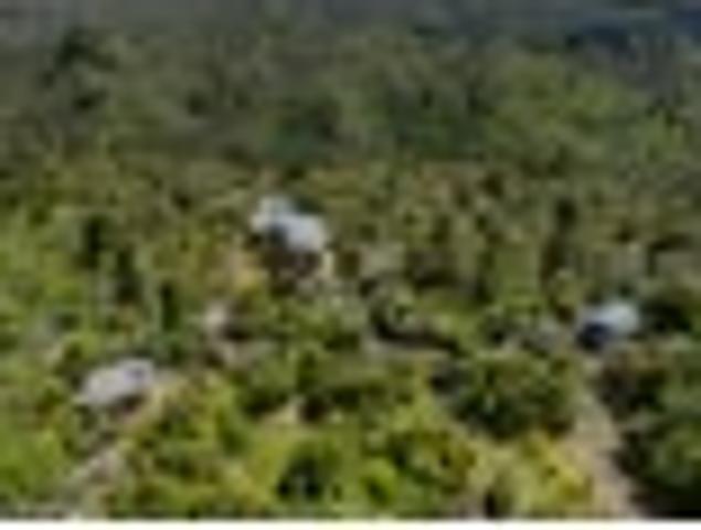 House for sale in Whitianga, Waikato