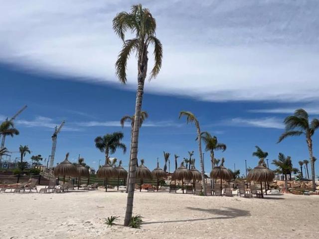 Apartamento en alquiler en Murcia