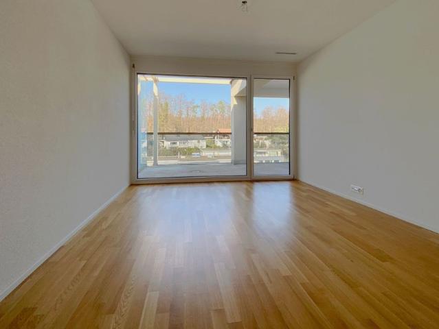 Apartment mieten in Uster, Zürich