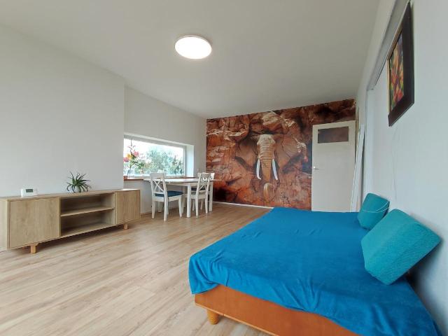 Appartement te huur in Artiestenbuurt, Rijswijk