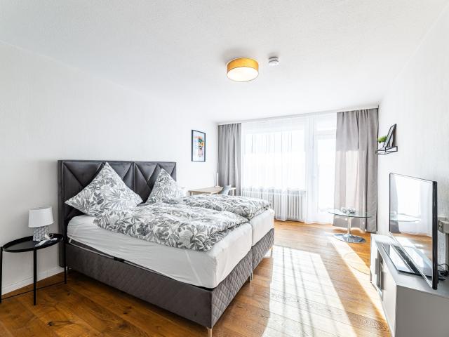 Apartment mieten in Inselstadt, Bamberg