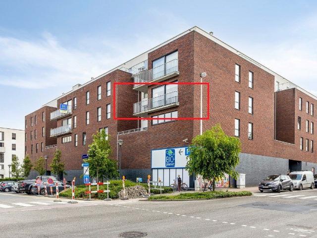 Appartement location à Halle