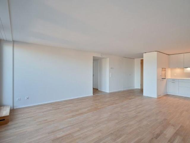 Apartment mieten in Brugg (AG), Aargau