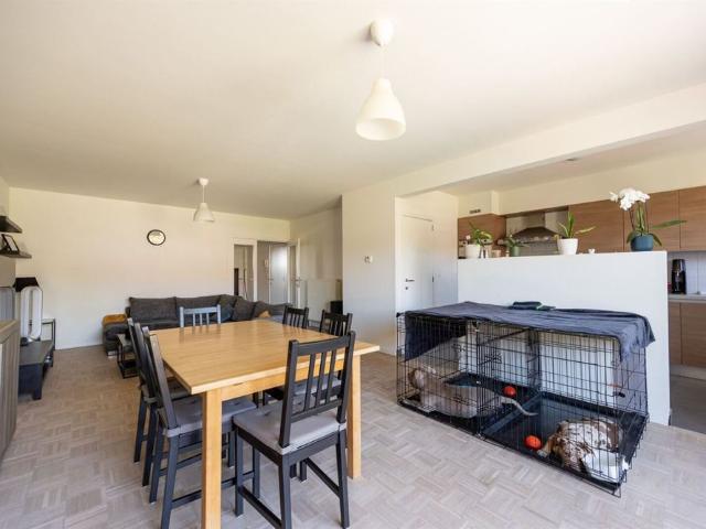 Appartement location à Brasschaat, Antwerpen
