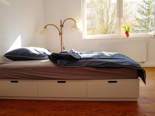Apartment mieten in Rostock, Mecklenburg-Vorpommern