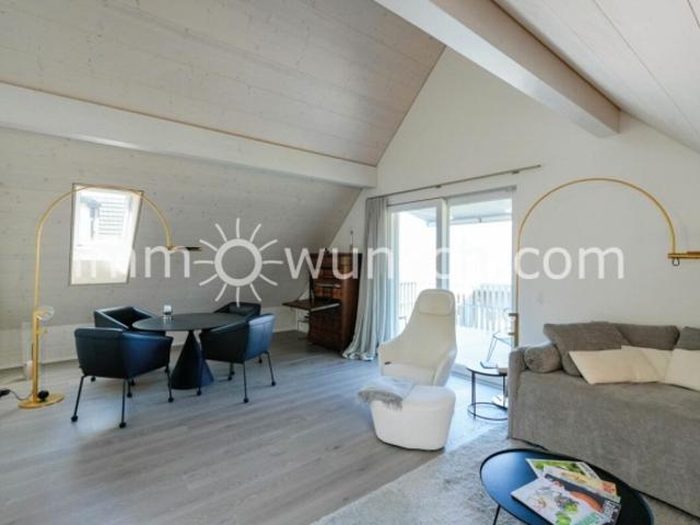 Wohnung kaufen in Ottenbach, Zürich