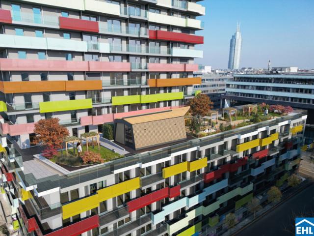 Wohnung mieten in KG Brigittenau, Wien