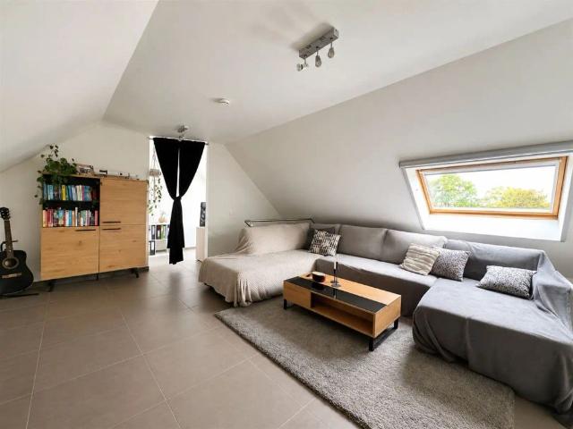 Appartement location à Haasdonk, Oost-Vlaanderen