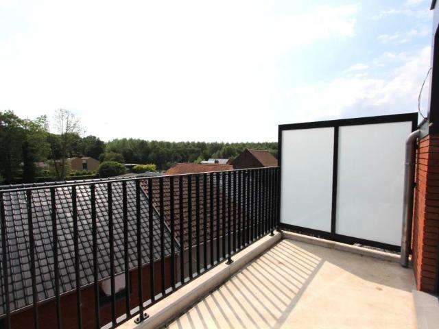 Appartement location à Tongeren, Limburg