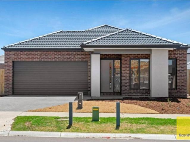 House for rent in Catalina, Melbourne