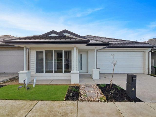 House for rent in Geelong, Victoria