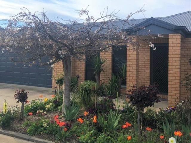 House for rent in Bendigo, Victoria