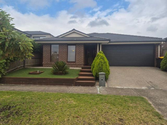 House for rent in Bellevue, Melbourne