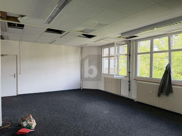 Büro mieten in Sissach, Basel-Landschaft