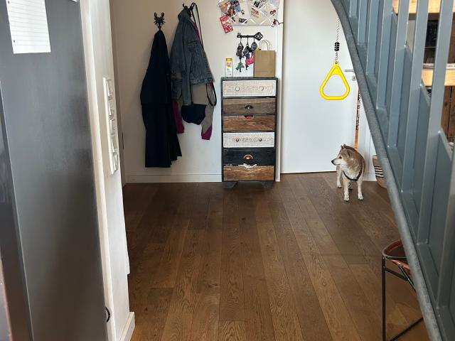 Apartment mieten in Moosach, München