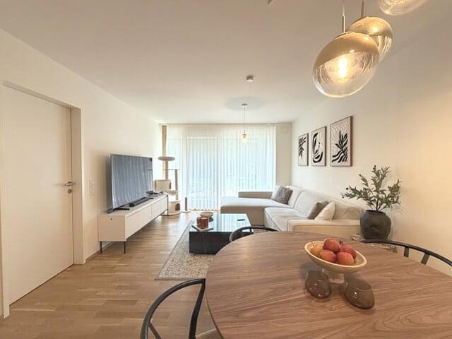 Apartment mieten in Lustenau, Vorarlberg