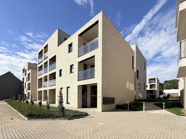 Kot location à Sint-Joris-Winge, Tielt-Winge