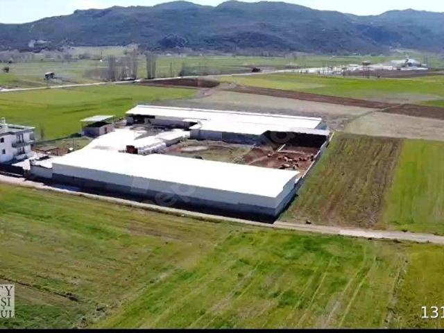 Çeltikçi içerisinde satılık Fabrika