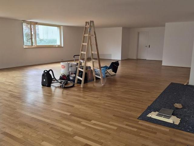 Loft mieten in Einigen, Zürich