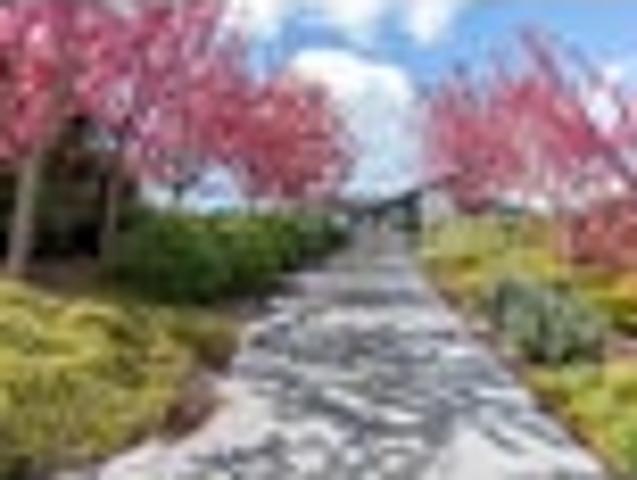House for sale in Ohaupo, Waikato