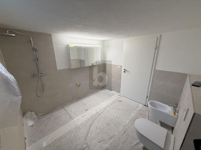 Apartment mieten in Zurzach, Aargau