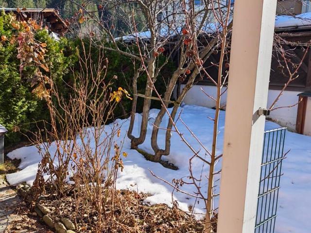 Haus kaufen in Kirchberg in Tirol, Tirol