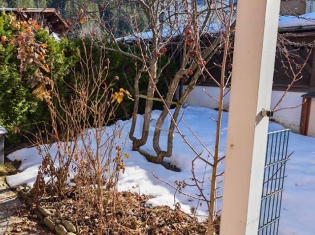 Einfamilienhaus kaufen in Kirchberg in Tirol, Tirol