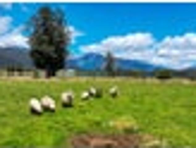 House for sale in West Coast