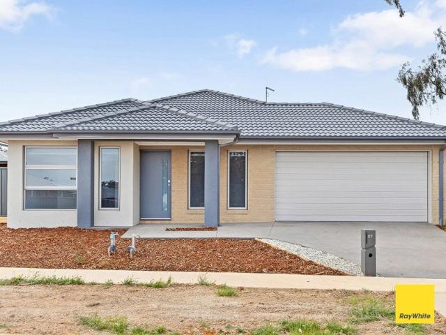 House for rent in Jackass Flat, Bendigo