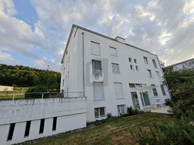 Büro kaufen in Zurzach, Aargau
